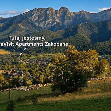 Tatravisit *